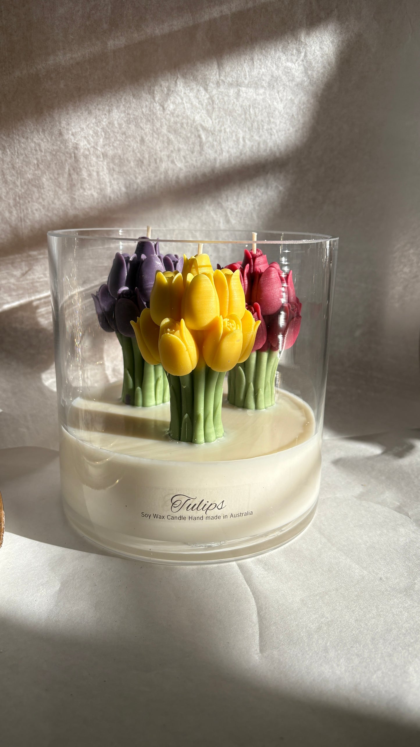 Jumbo Tulips - Jars of Flowers
