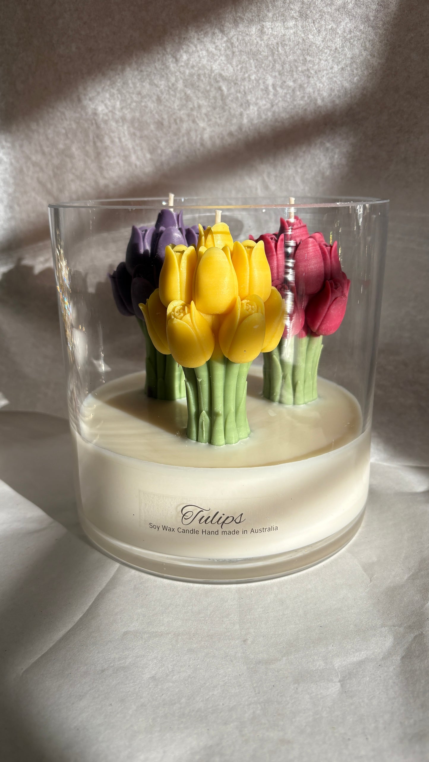 Jumbo Tulips - Jars of Flowers