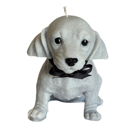Dachshund Puppy Sculptural Candle
