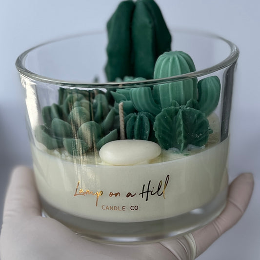 Succulent soy candle