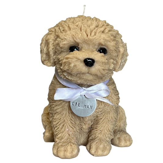 Cavoodle Puppy Sculptural Candle